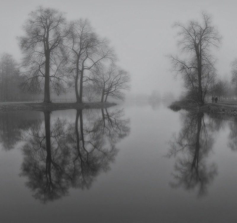 отдельный (нижний) парк, пейзаж, природа, царское село, пушкин, питер, санкт-петербург, отдельный парк, отдельный, городской пейзаж, landscape, nature Царскосельская грусть фото превью