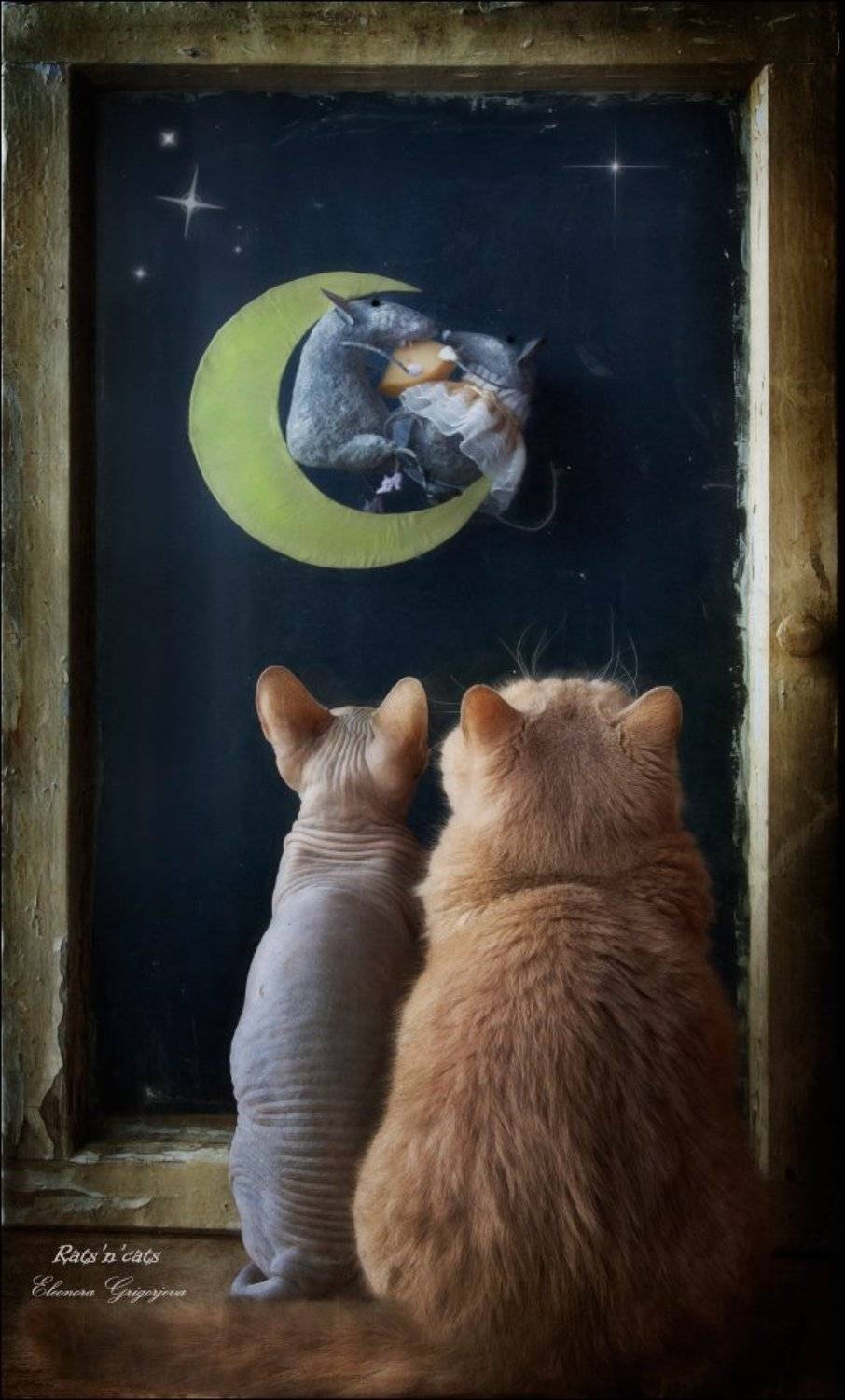 , Eleonora Grigorjeva