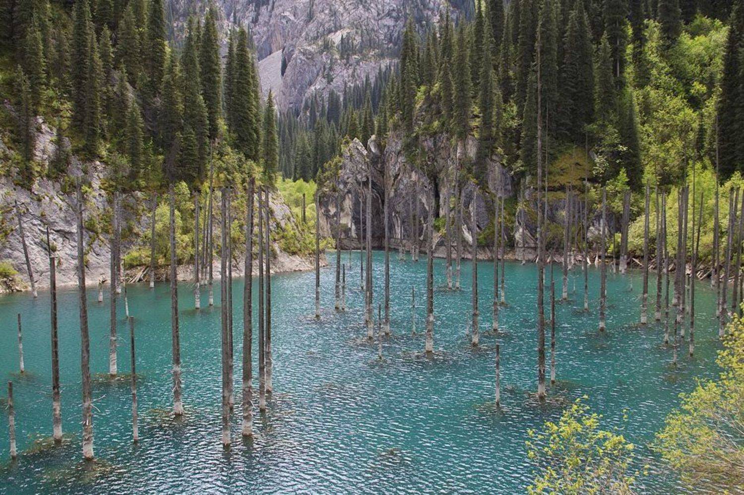 , Мира Голубь