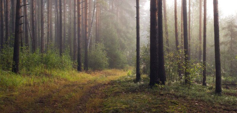 За туманом фото превью