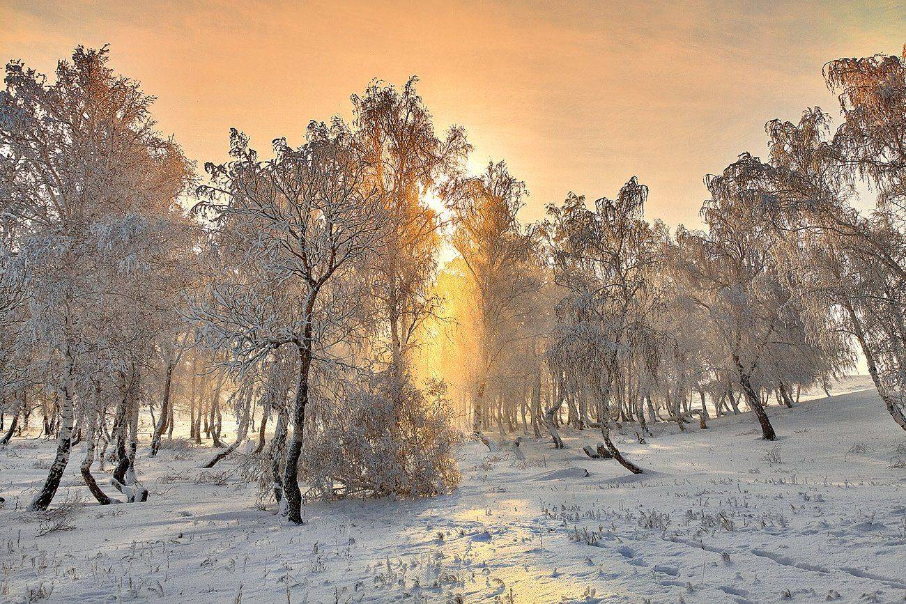 , Качурин Алексей