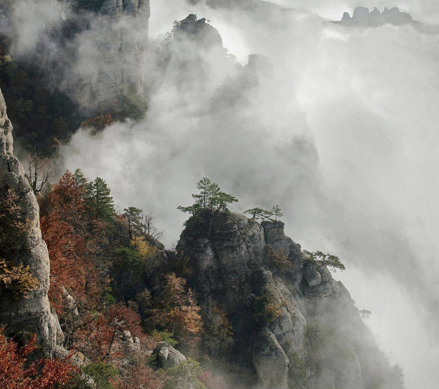 , Милокост Алексей