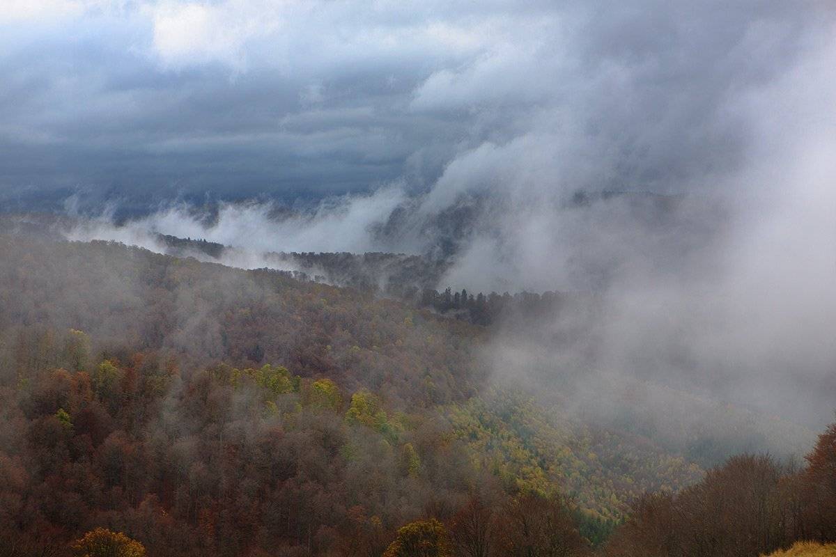 , Виталий Ра