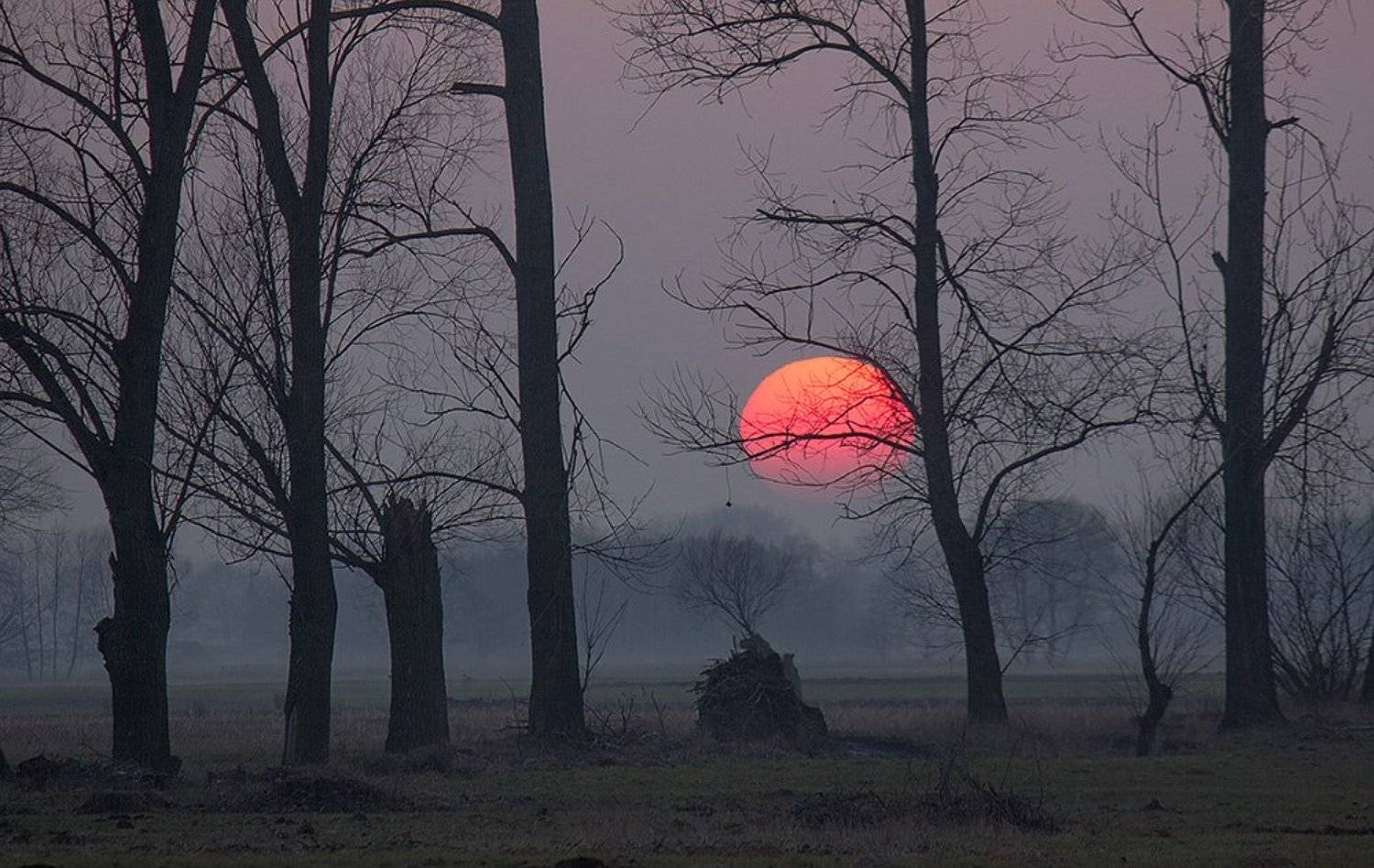 , Pawel Plucinski