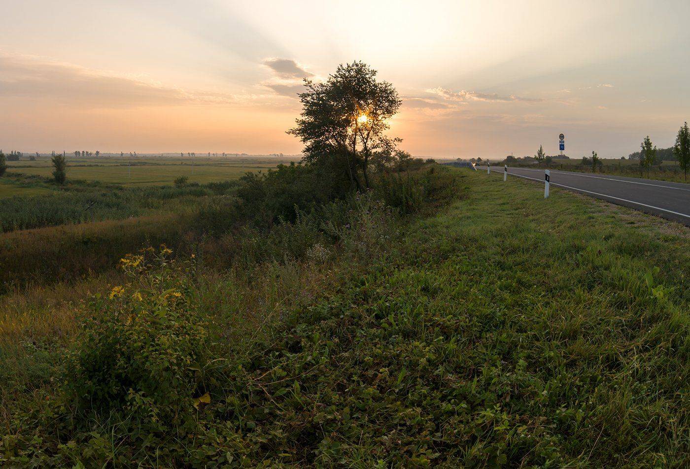 , Alexander Plekhanov