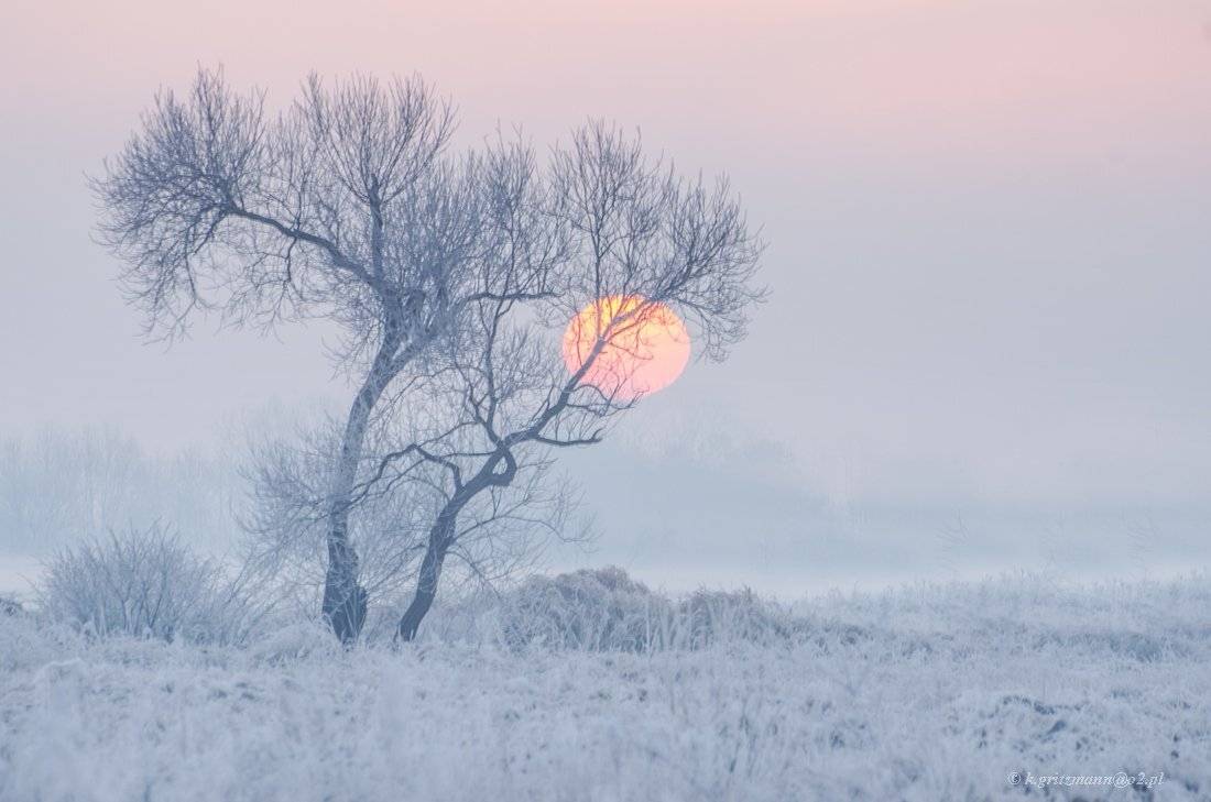 , Katarzyna Gritzmann