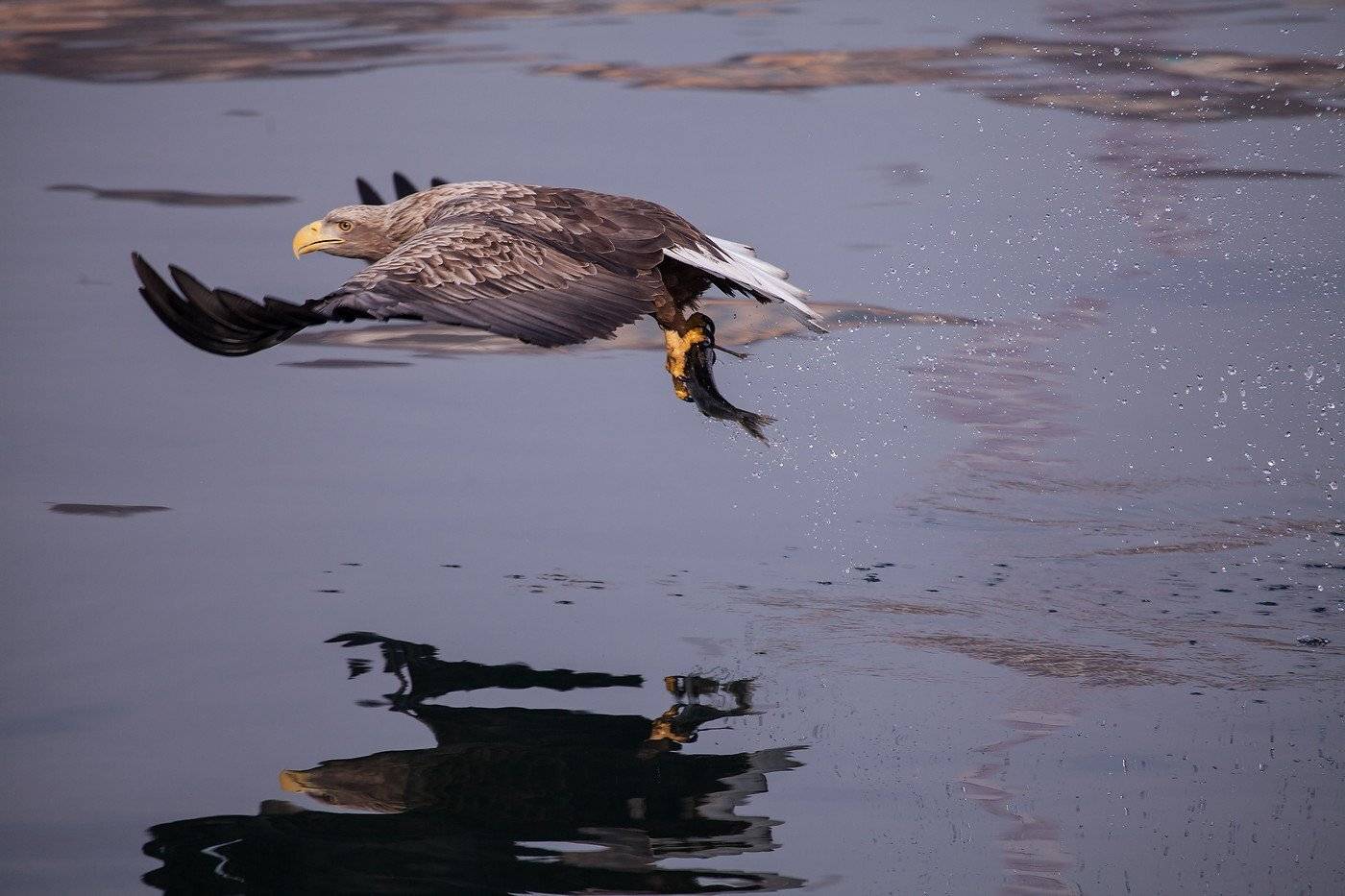, Евгений Слободской