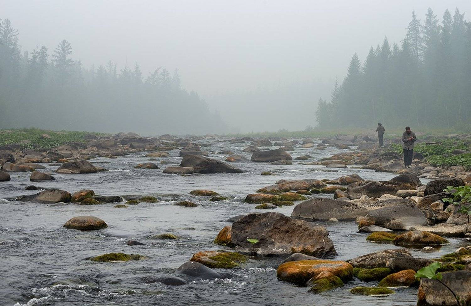 , Владимир Пчелинцев