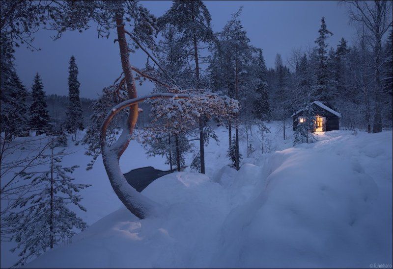 Старые друзья фото превью