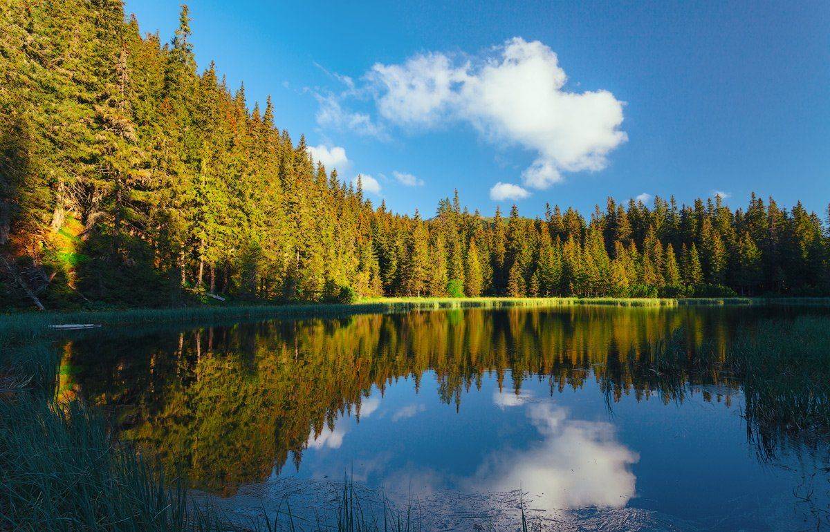 , Ярослав Тюрменко (Jaremi)