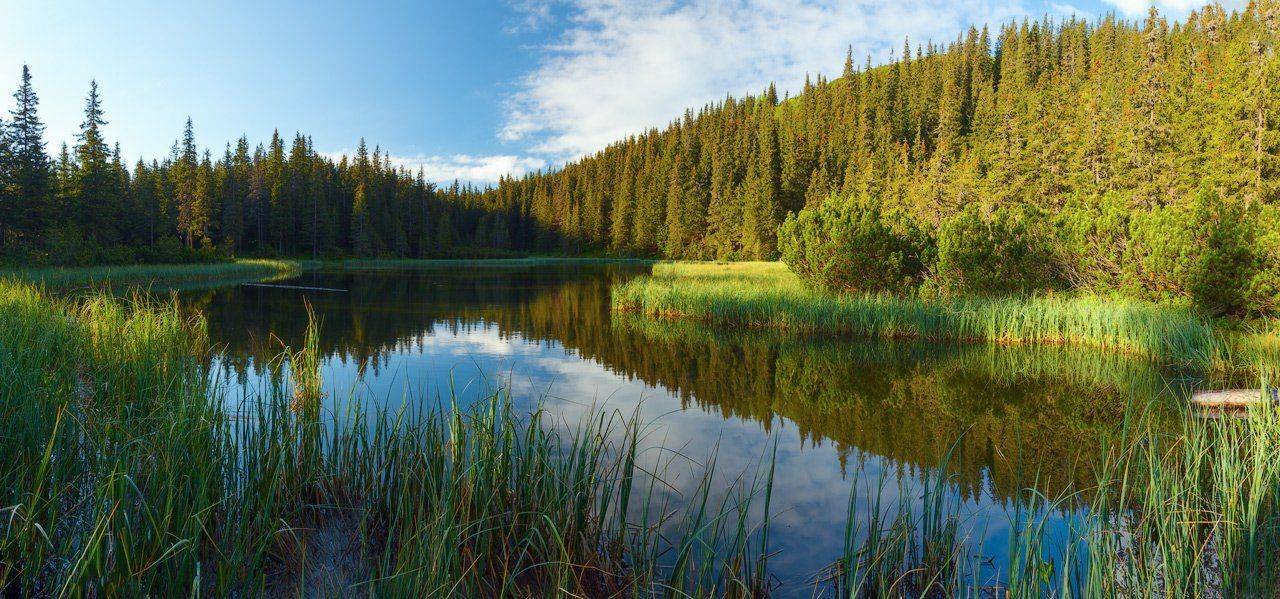 , Ярослав Тюрменко (Jaremi)