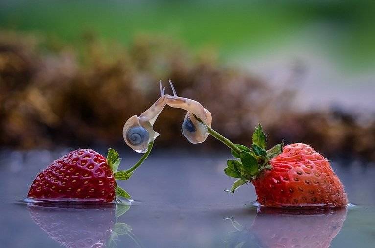 , Вячеслав Мищенко