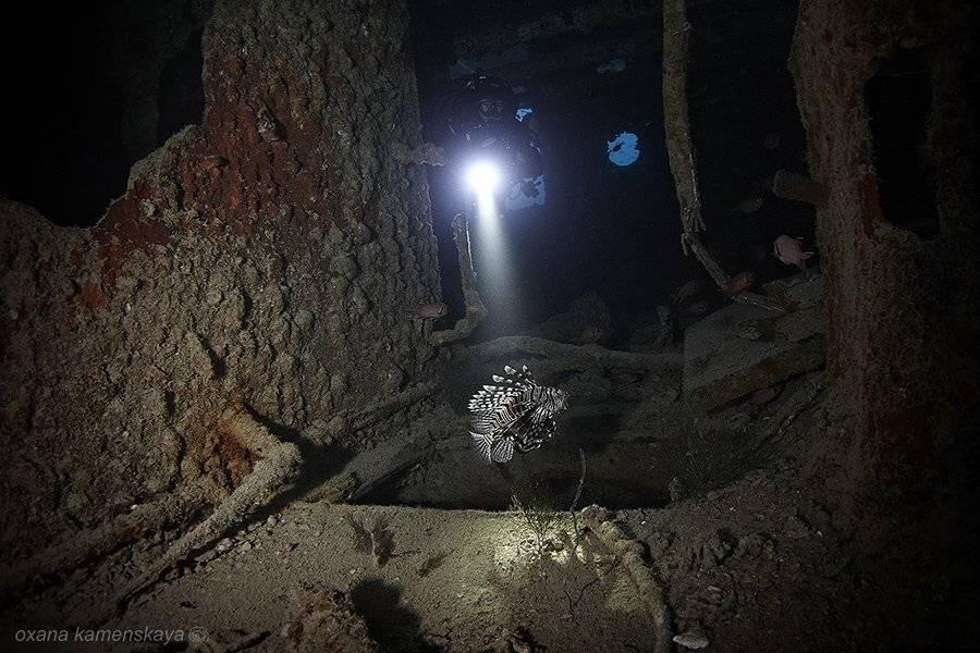 wreck sea underwater lionfish light, Оксана Каменская