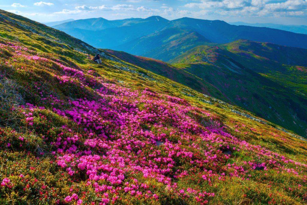 , Ярослав Тюрменко (Jaremi)