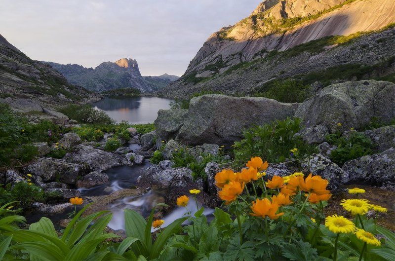вслед за светом фото превью