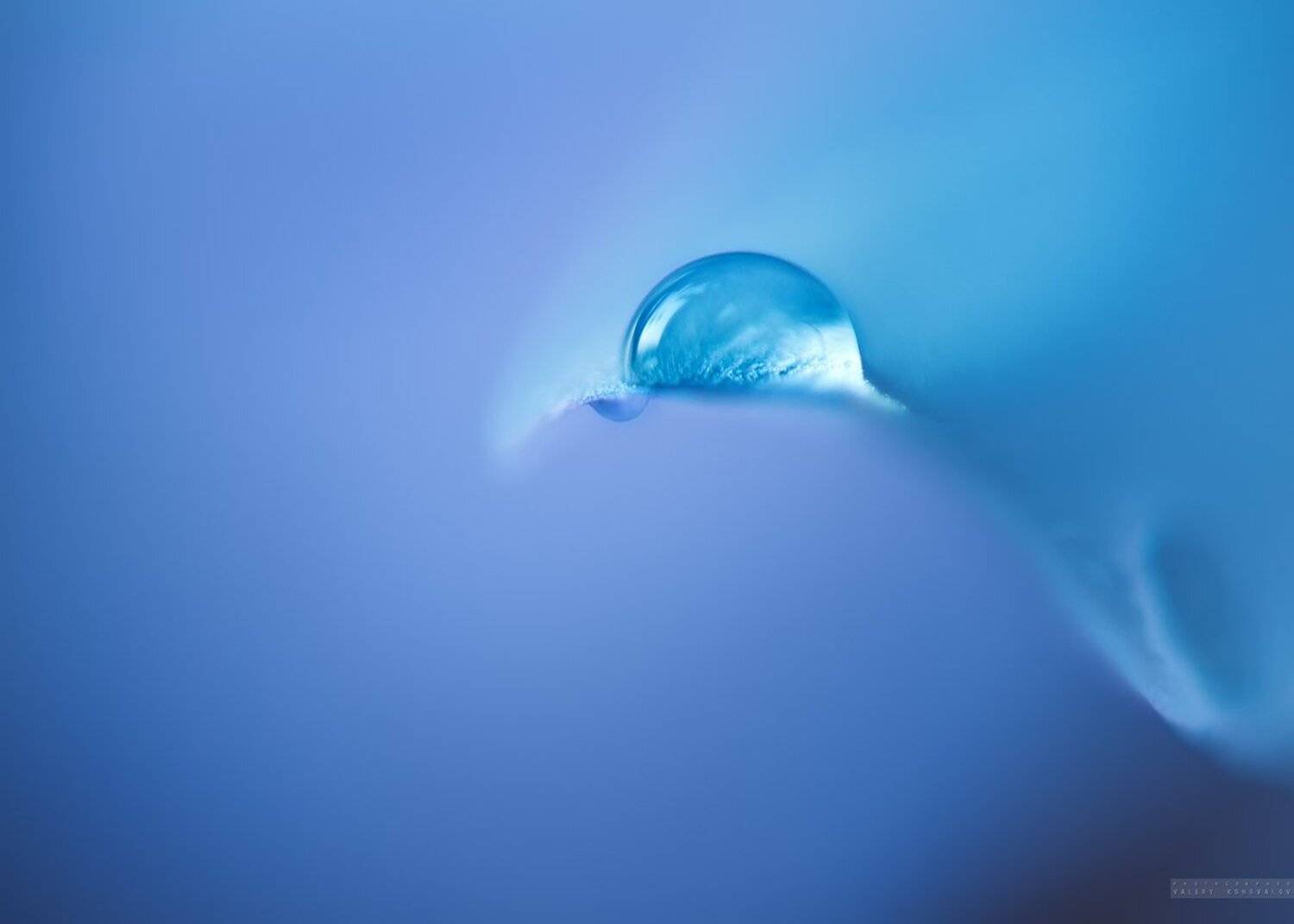 , Валерий Коновалов