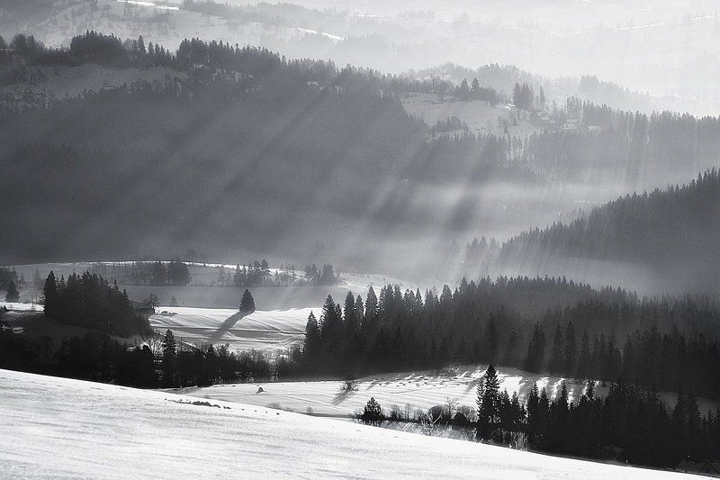 Glade ... фото превью