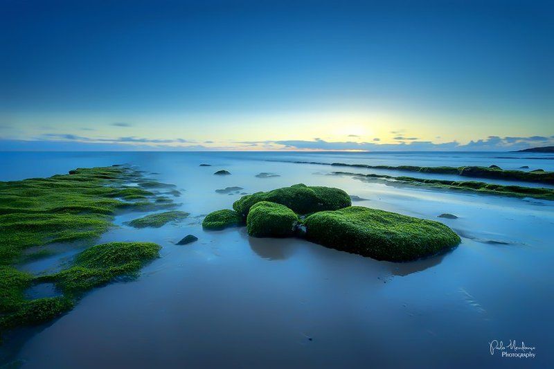 Green Rocks фото превью