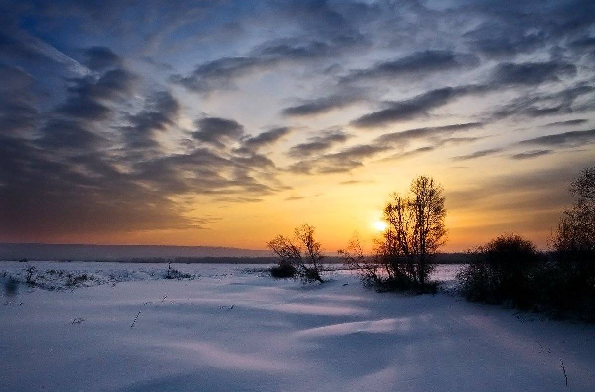 , Николай Морский