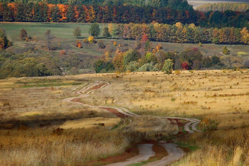 Осень, Природа Краски осени. фото превью