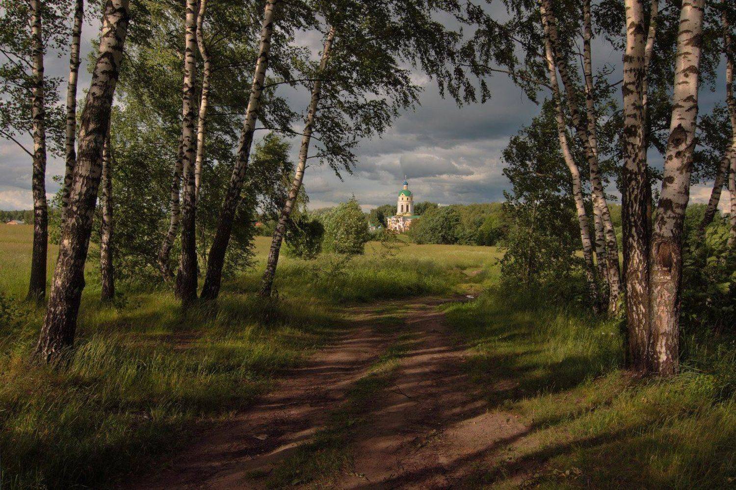 аллея, Берёзы, Гребнево, Лето, Фрязино, Виктор Климкин