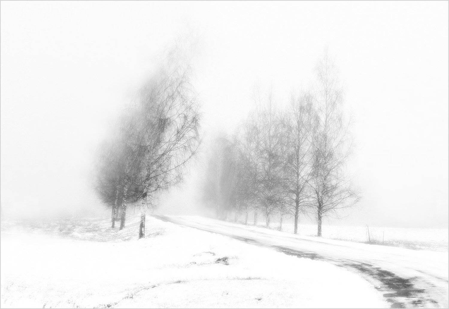 , Анна Кудрявцева