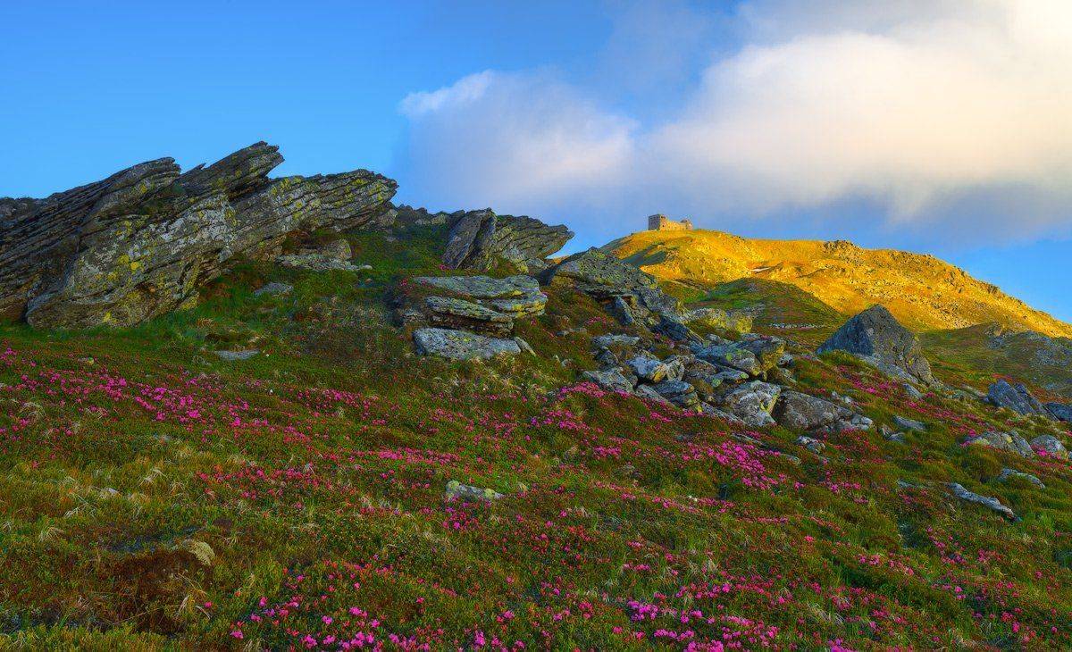 , Ярослав Тюрменко (Jaremi)