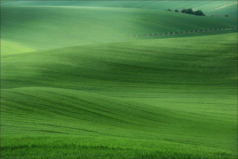Field, Green, Light, Весна, Геометрия, Зелень, Моравия, Свет, Чехия, Южная Моравия / 50 оттенков зеленого / фото превью