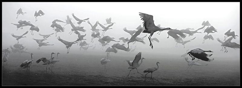 Стартуем в тумане ... фото превью