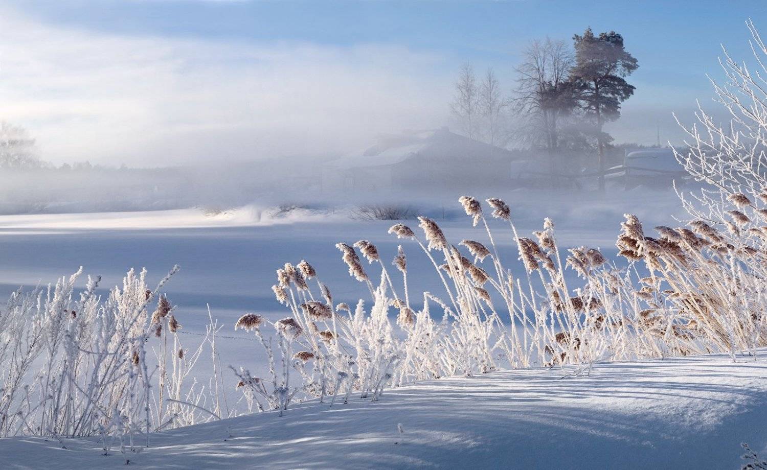, Дмитрий Алексеев