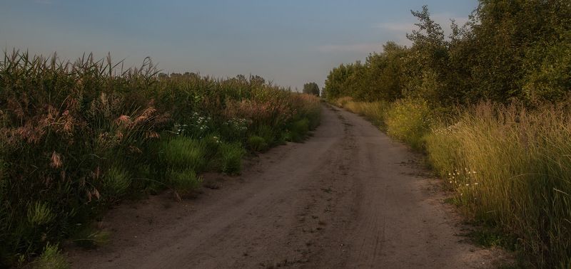 Июльскими дорожками фото превью