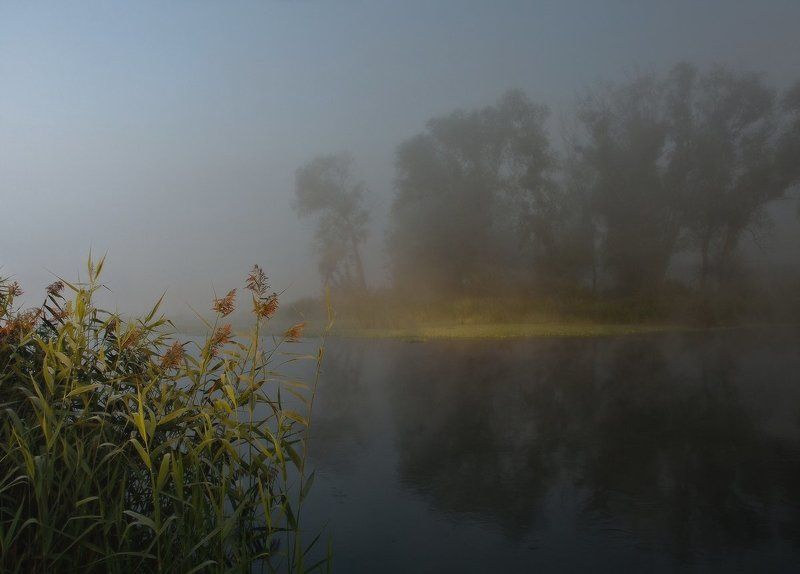 Первый луч фото превью