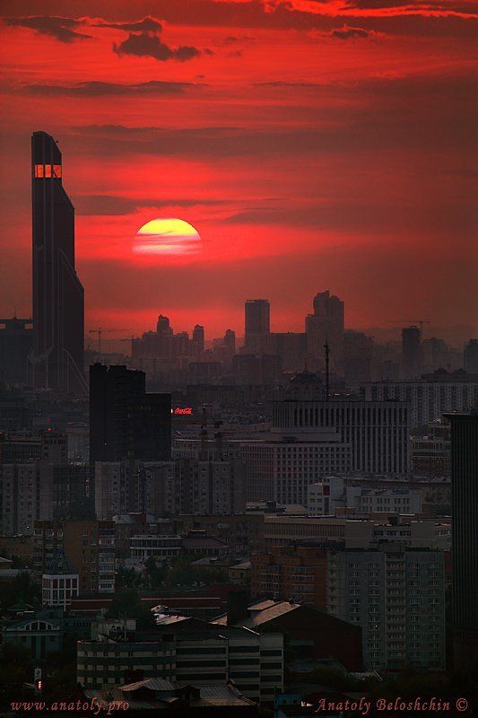 Белощин, Закат, Меркурий Сити Тауэр, Москва, Москва-сити Москва. Закат #2 фото превью