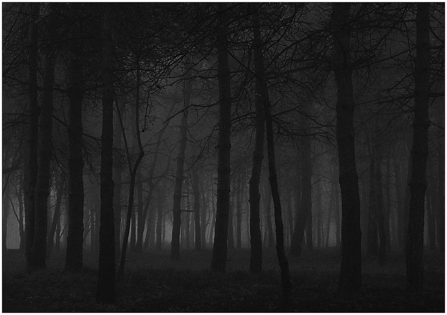 , Роман Рыжков