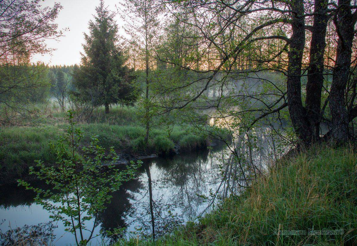 , Хохряков Николай