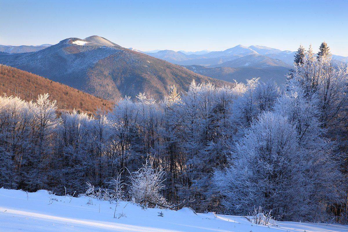 , Виталий Ра