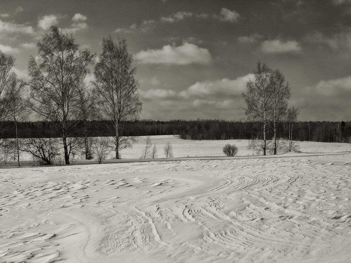 , Владимир Перепечаев