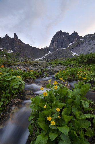вечером после дождя