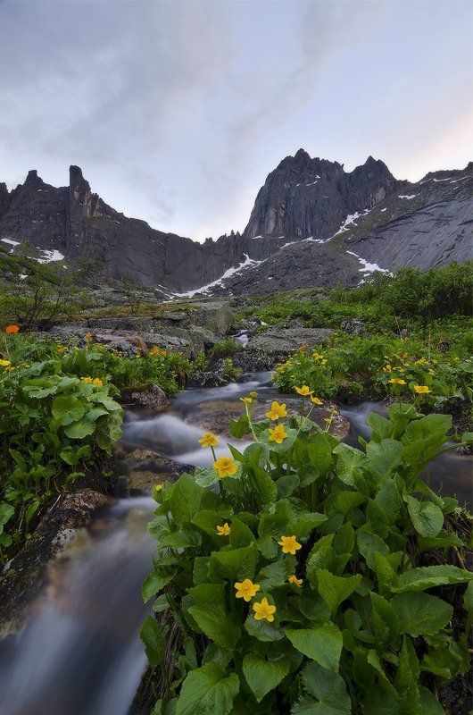 вечером после дождя фото превью