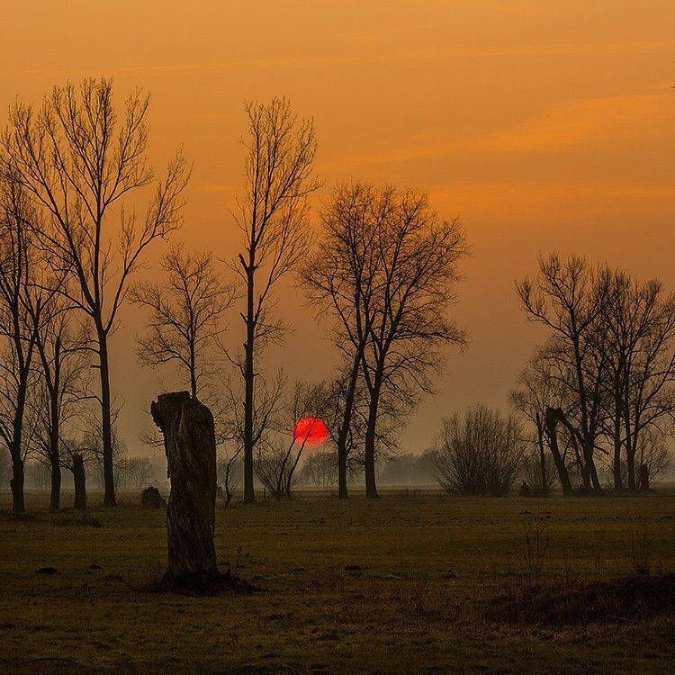, Pawel Plucinski