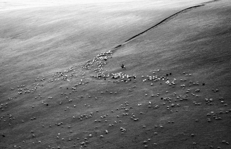 Считалочка фото превью