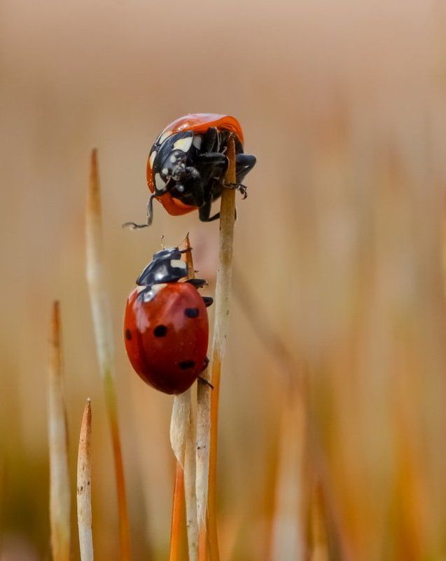 Ой где был я вчера... фото превью
