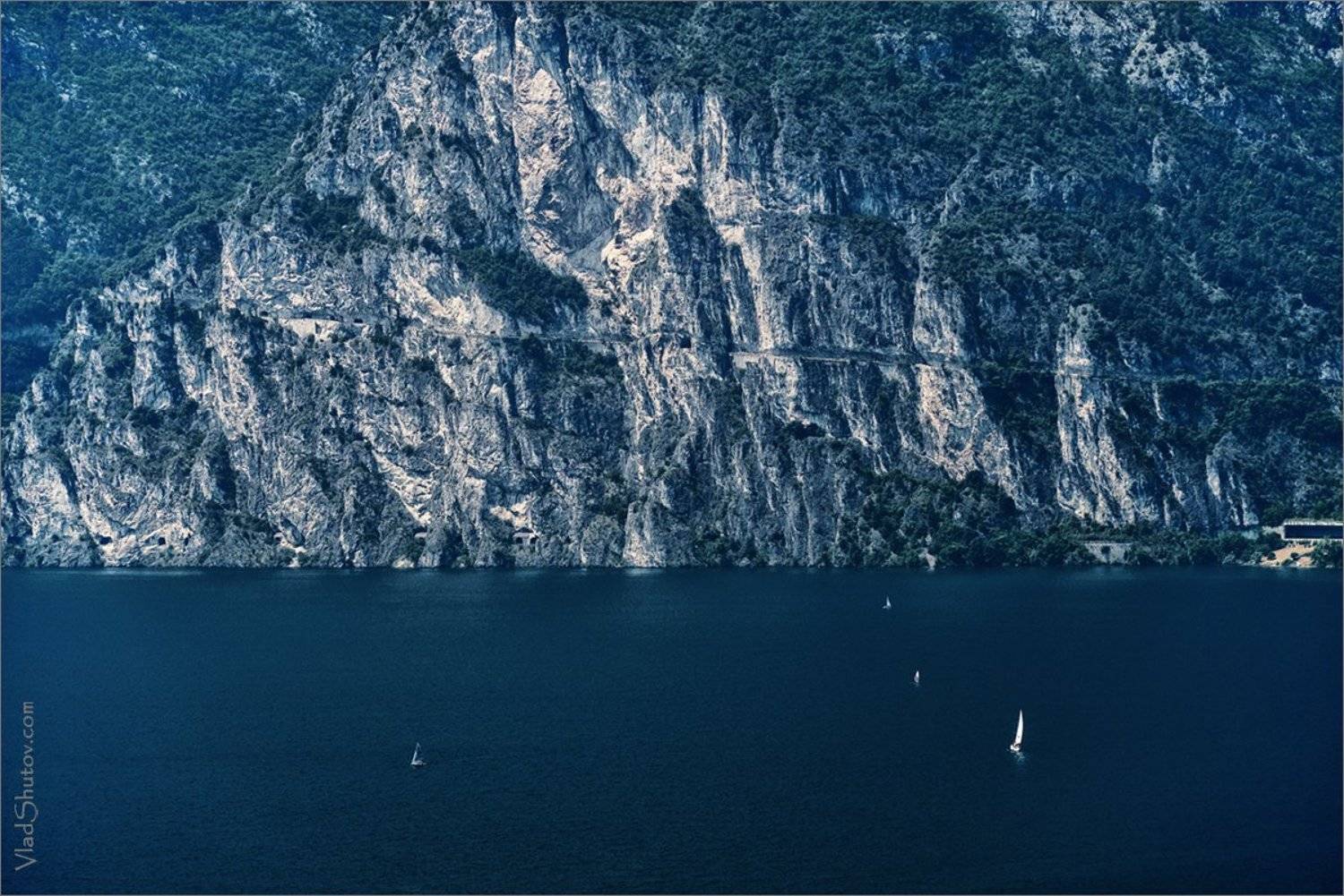 , Влад Шутов