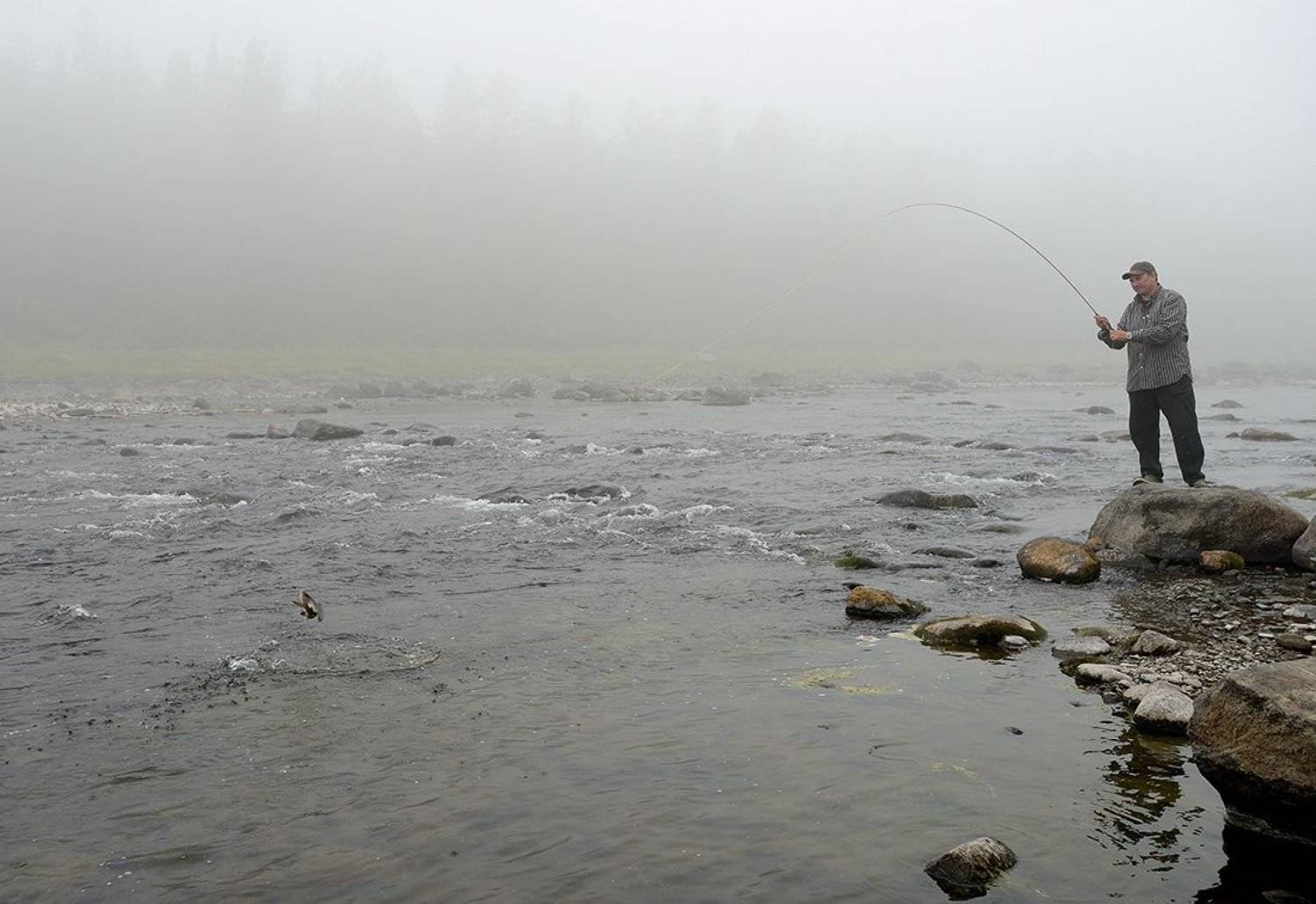 , Владимир Пчелинцев