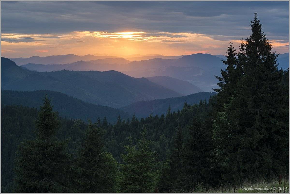 Горы, Елки, Ель, Закат, Карпаты, Облака, Рукомойников Валентин