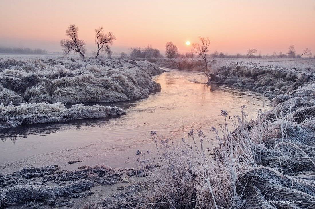 , Katarzyna Gritzmann