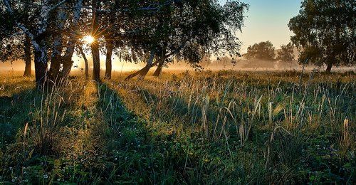 Утро!