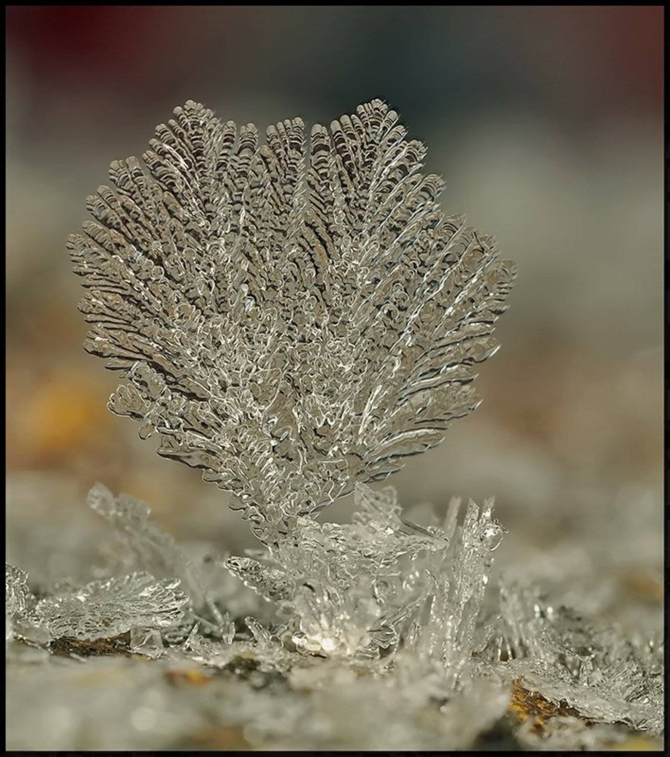 , Андрей Осокин