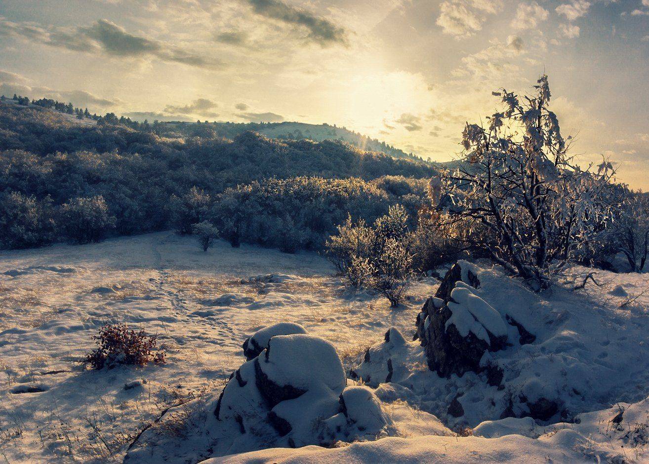 , Игорь Мелекесцев