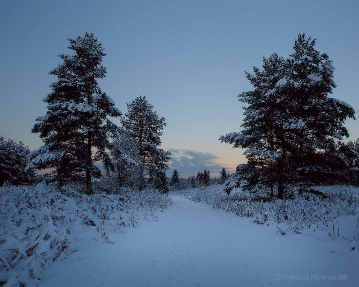 , Хохряков Николай